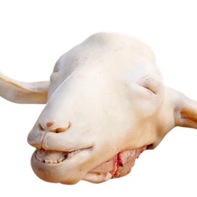 【現(xiàn)貨】新西蘭進口羔羊羊頭批發(fā)10kg