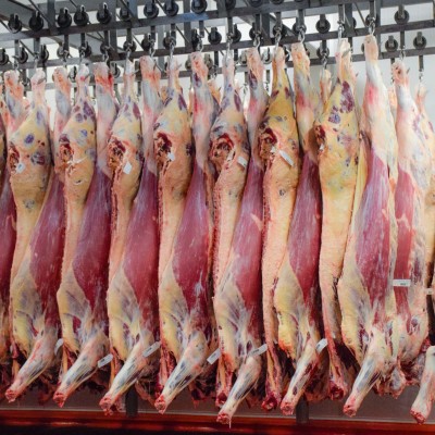 【期貨】烏拉圭22廠后胸肉批發(fā)1柜起批6月底發(fā)貨