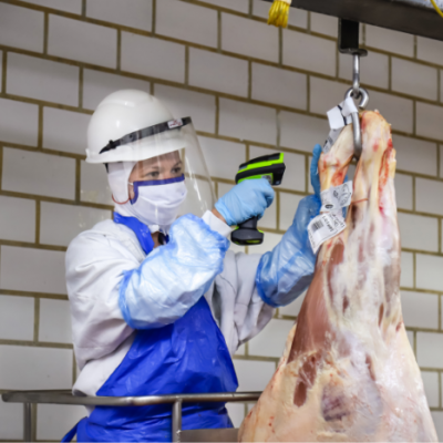 【期貨】阿根廷1113廠草飼小腿肉5噸起批6月發(fā)貨