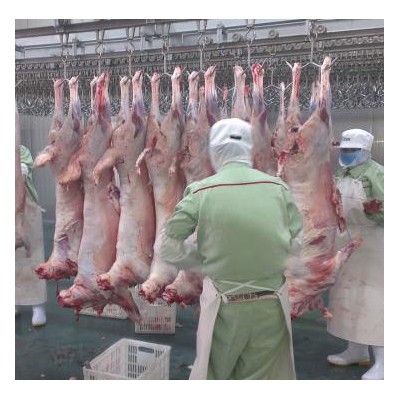 【期貨】蒙古國胴體羊去內臟5噸起批6月底發(fā)貨