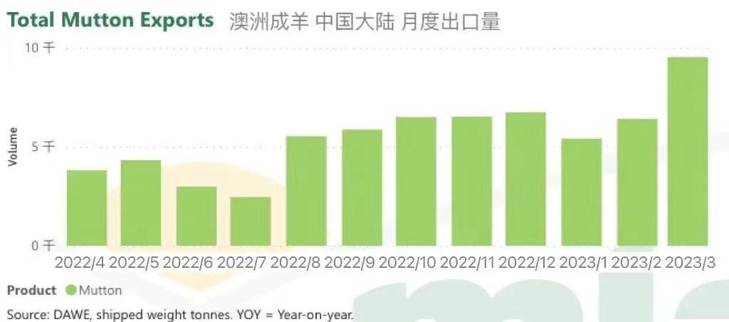 澳洲成羊出口中國大陸月度出口量