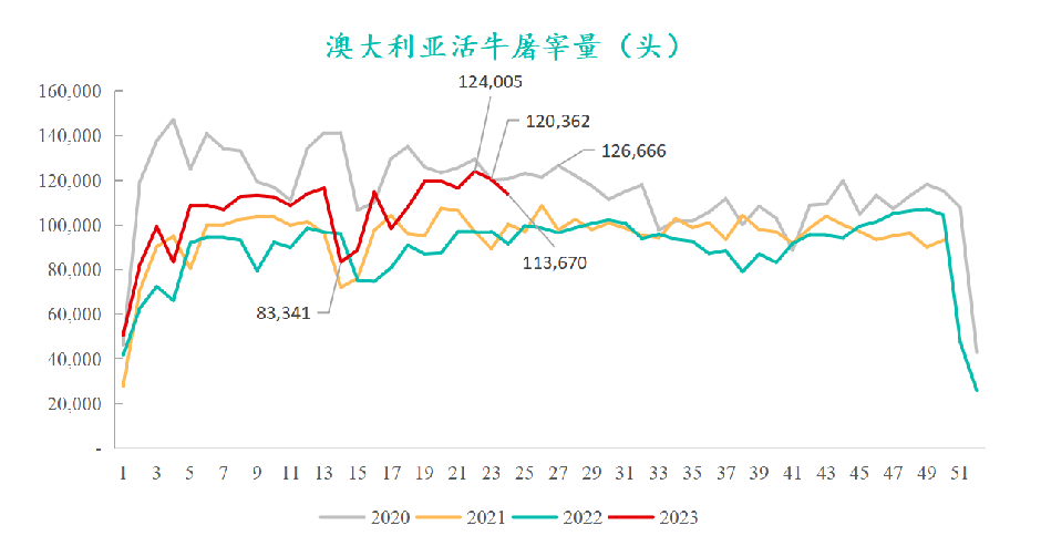 澳大利亞活牛屠宰量