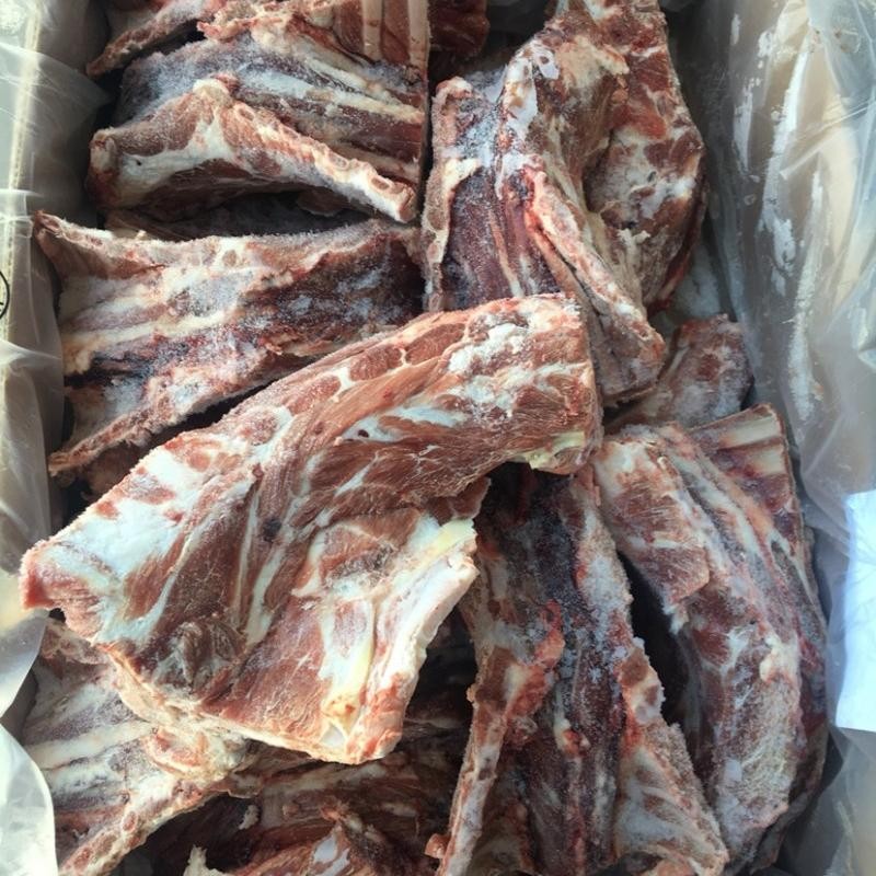 現貨現發(fā)澳大利亞羊蝎子100kg